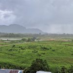 Hemingway’s Paradies, der Stern & Sounds from Sarawak