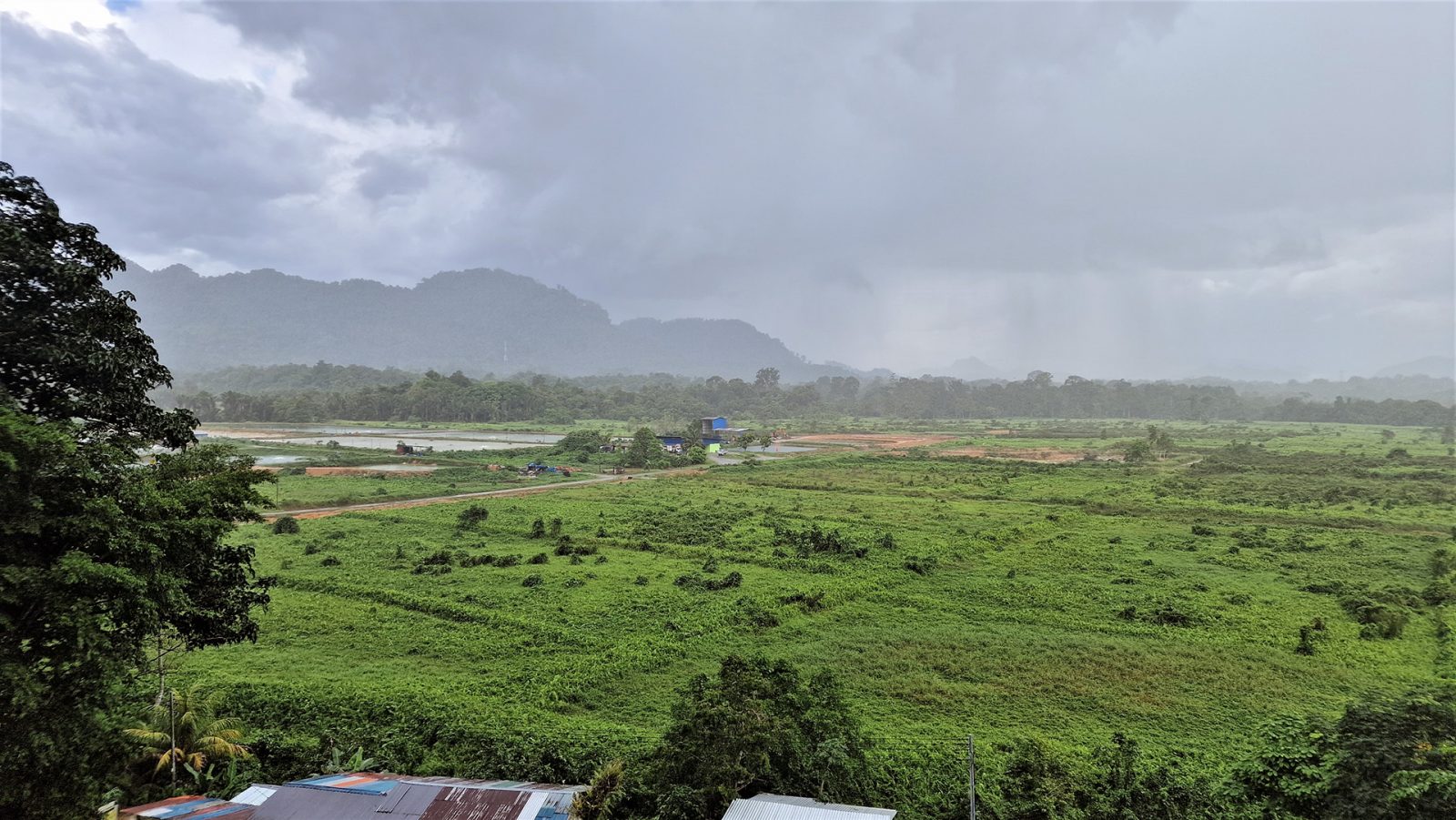 Hemingway’s Paradies, der Stern & Sounds from Sarawak