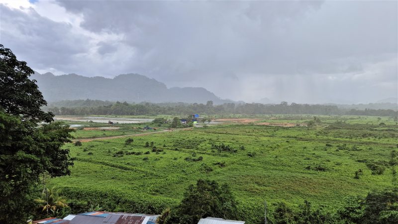 Hemingway’s Paradies, der Stern & Sounds from Sarawak